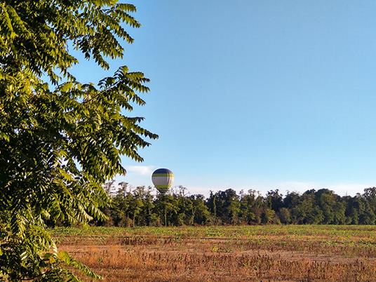 SMARTBOX - In mongolfiera tra il Parco del Ticino e Milano: volo per 2 con degustazione tipica - Cofanetto regalo - 2
