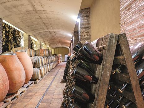 SMARTBOX - Passeggiata a cavallo nei Monti Lepini con degustazione vini e pranzo per 2 - Cofanetto regalo - 2