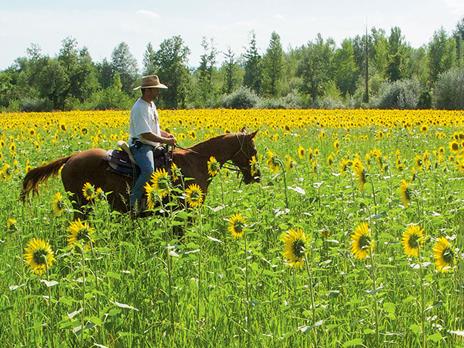 SMARTBOX - A spasso per la Toscana in sella: 1 giornata a cavallo per 1 persona - Cofanetto regalo - 2