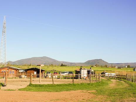SMARTBOX - In sella nel verde di Viterbo: una passeggiata di un’ora a cavallo per 2 - Cofanetto regalo - 2
