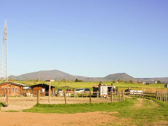 SMARTBOX - In sella nel verde di Viterbo: una passeggiata di un’ora a cavallo per 2 - Cofanetto regalo - 2