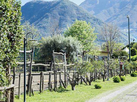 SMARTBOX - Passeggiata a cavallo con degustazione per 2 - Cofanetto regalo - 11