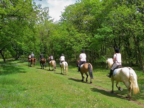 SMARTBOX - Fuga di 2 giorni con passeggiata a cavallo - Cofanetto regalo - 9