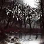 Symphony of Silence - CD Audio di Afterlife