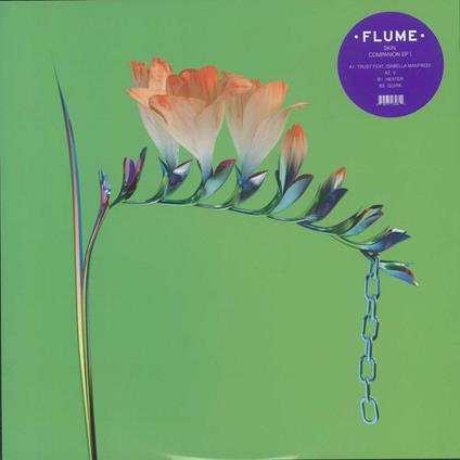 Skin Companion Ep I - Vinile LP di Flume