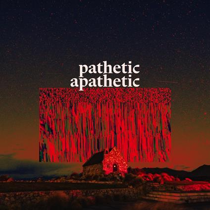 Pathetic Apathetic - CD Audio di Indoor Pets