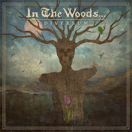 Diversum - CD Audio di In the Woods