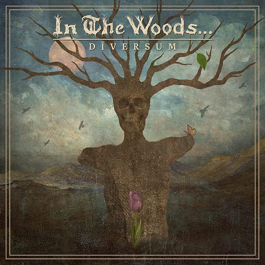 Diversum - Vinile LP di In the Woods