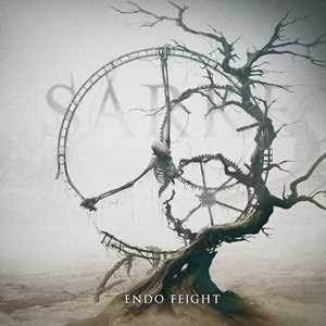 CD Endo Feight Sarke