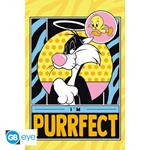 Looney Tunes: GB Eye - Tweety & Sylveste (Poster 91.5X61)