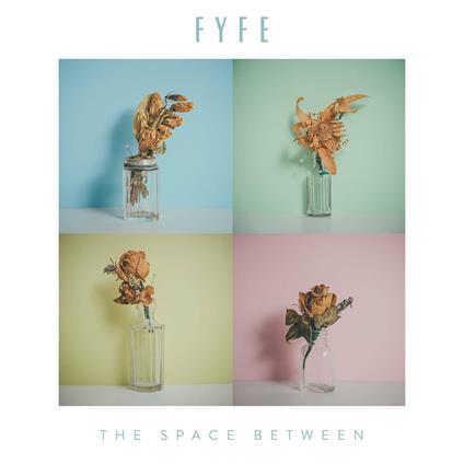 The Space Between - CD Audio di Fyfe