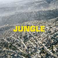 CD Jungle The Blaze