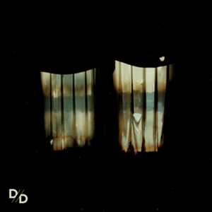 Vinile Insatiable Divide and Dissolve