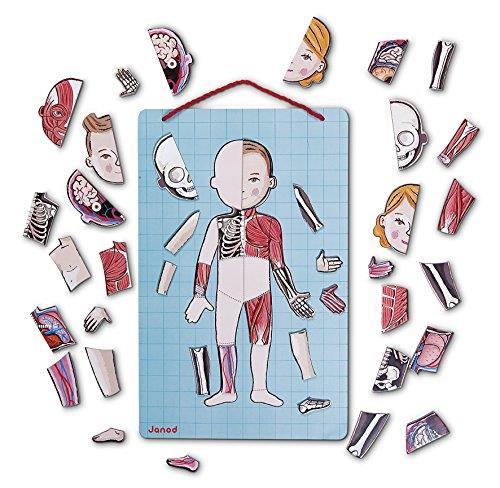 Bodymagnet. Corpo umano magnetico - 4