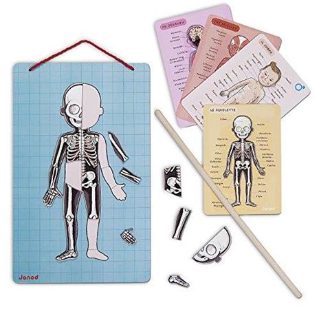 Bodymagnet. Corpo umano magnetico - 7