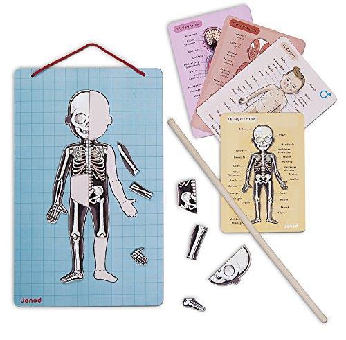 Bodymagnet. Corpo umano magnetico - 7