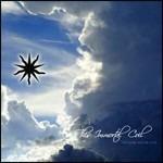 The Dark Age of Love - CD Audio di This Immortal Coil