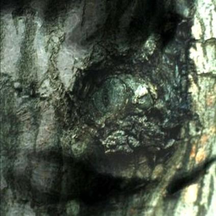 La valse des monstres - Vinile LP di Yann Tiersen