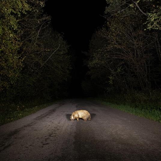 Badger - CD Audio di Stonks