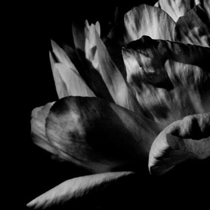 La Ou Passe La Nuit - CD Audio di Louise Roam