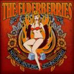 Nothing Ventured Nothing Gained - CD Audio di Elderberries