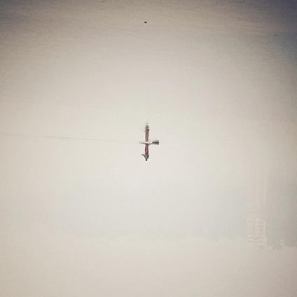 Endling (Vinyl Clear Transparent) - Vinile LP di Qasim Naqvi