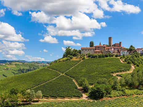 SMARTBOX - Cena per due in Piemonte - Cofanetto regalo - 5
