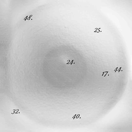 Discipline Through Sound 25 - Vinile LP di Big N