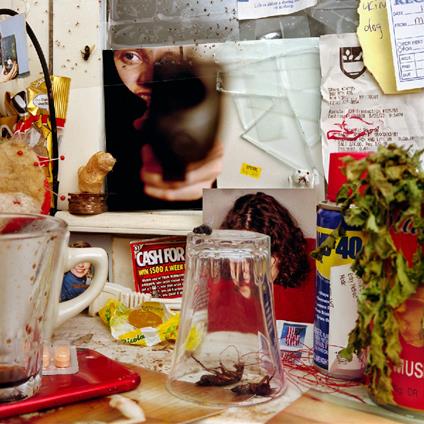 Bastard - CD Audio di Wants