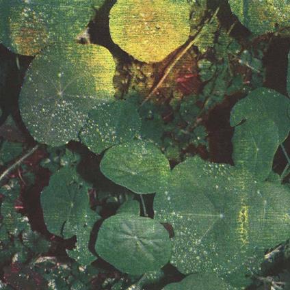 About Honey - CD Audio di Whoman