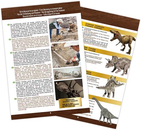 Diventa Un Archeologo Teschio Di Un Tirannosauro T-Rex Gioco Per Bambini 8+ - 2