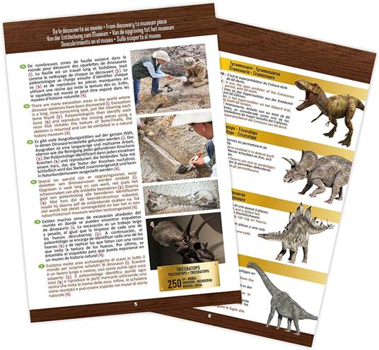 Diventa Un Archeologo Teschio Di Un Tirannosauro T-Rex Gioco Per Bambini 8+ - 2