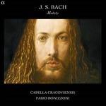 Mottetti Bwv 225-230 - CD Audio di Johann Sebastian Bach