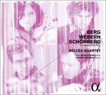 Musica da camera - CD Audio di Alban Berg,Arnold Schönberg,Anton Webern