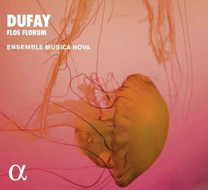 Flos florum - CD Audio di Guillaume Dufay,Ensemble Musica Nova