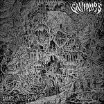 Palace of Vision - Vinile LP di Saviours