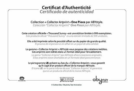 One Piece Collector Artprint. Thousand Sunny - 3