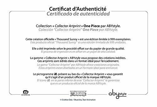 One Piece Collector Artprint. Thousand Sunny - 3