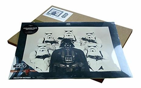 One Piece Collector Artprint. Thousand Sunny - 4