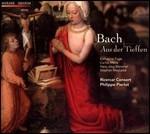 Cantate Aus der Tieffen BWV1313, BWV182 - CD Audio di Johann Sebastian Bach,Philippe Pierlot,Ricercar Consort