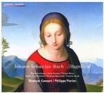 Magnificat BWV243 - CD Audio + DVD di Johann Sebastian Bach,Philippe Pierlot