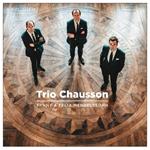 Piano Trio in D Minor Op.11