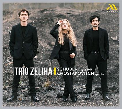 String Trios - CD Audio di Franz Schubert,Dmitri Shostakovich,Trio Zeliha
