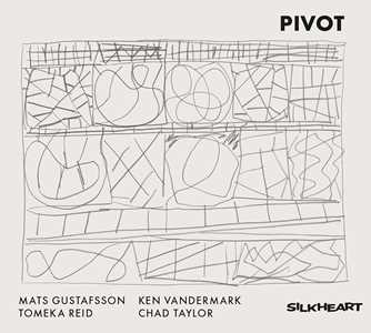 CD Pivot Mats Gustafsson