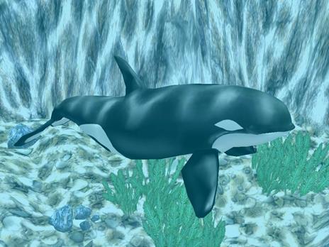 Marine Park Empire - 4