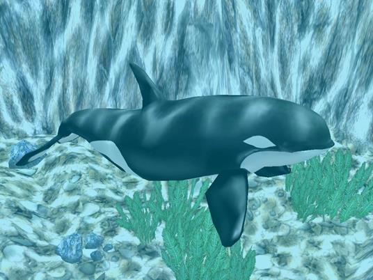 Marine Park Empire - 4