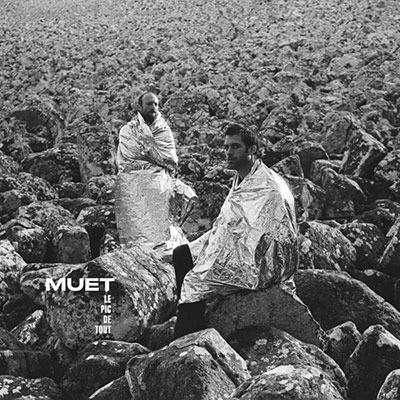 Le Pic De Tout - Vinile LP di Muet