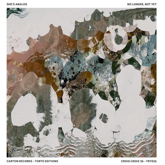 No Longer, Not Yet - Vinile LP di She's Analog