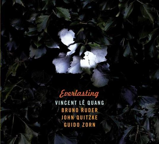 Everlasting - CD Audio di Vincent Lê Quang