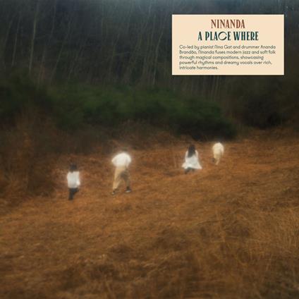 A Place Where - Vinile LP di Ninanda